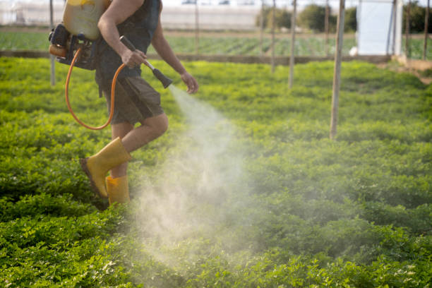 Trusted Long Beach, MS Pest Control Experts