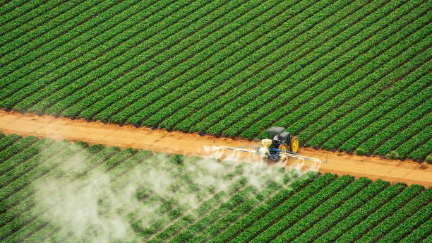 Best Mosquito Control Services  in Long Beach, MS
