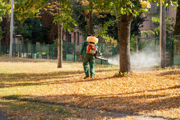 Best Rodent Control Near Me  in Long Beach, MS