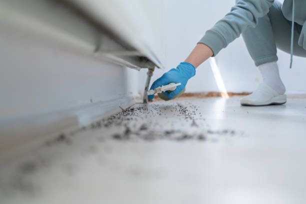 Best Pest Inspection Near Me  in Long Beach, MS